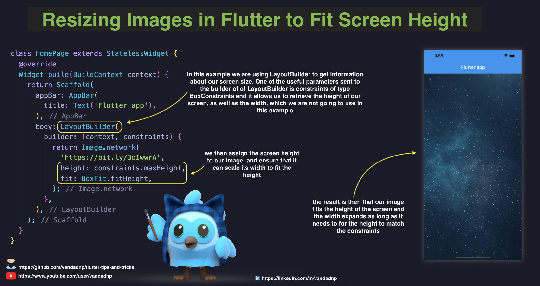 resizing-images-in-flutter-to-fit-screen-height.jpg