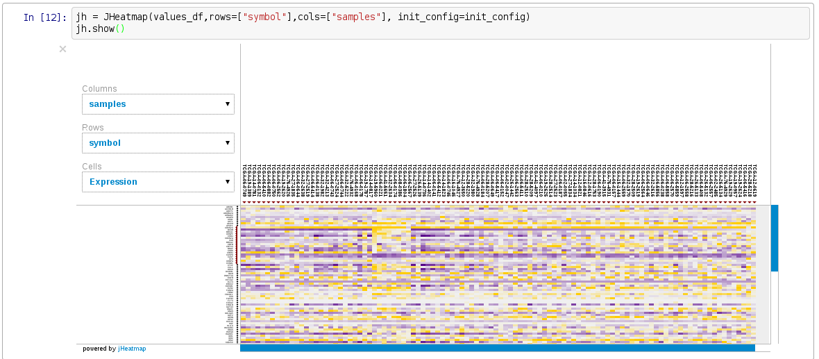 jheatmap-ipython.png